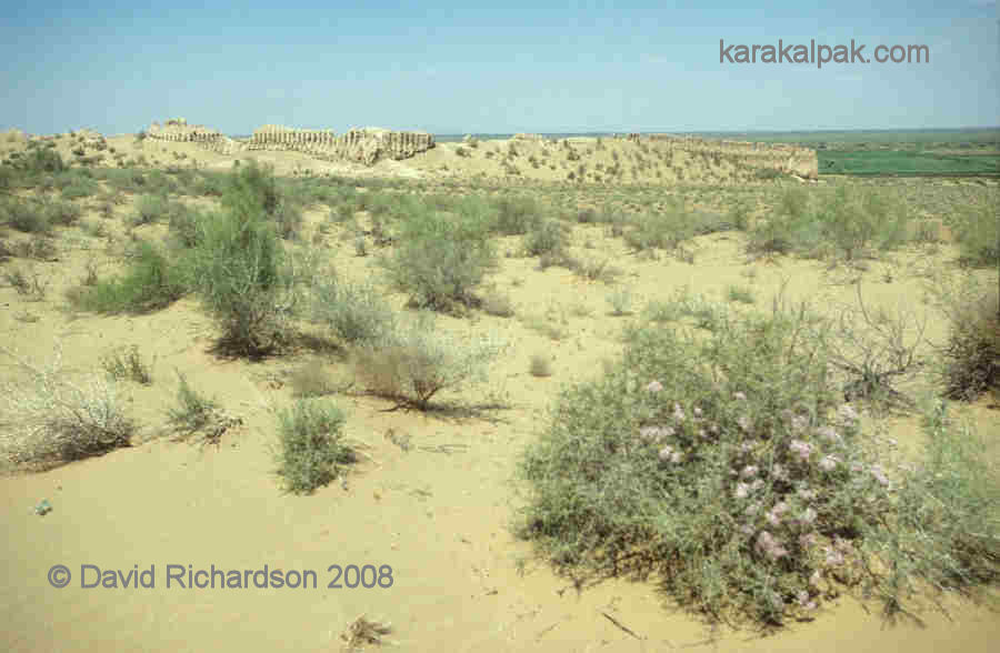 South and western flanks of Janbas Qala