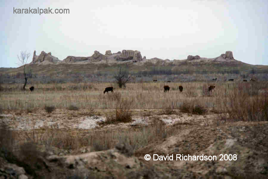 Little Qirq Qiz Qala