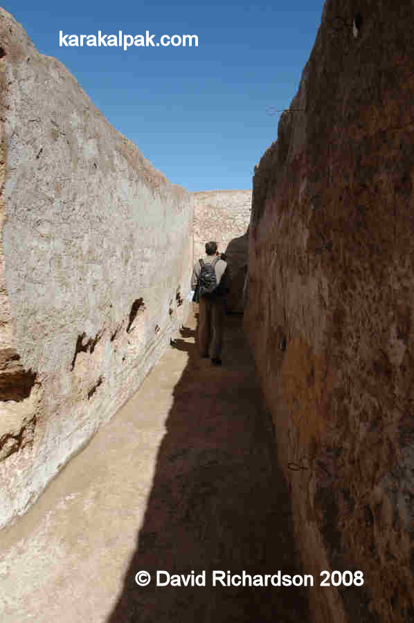 Corridor with female portraits