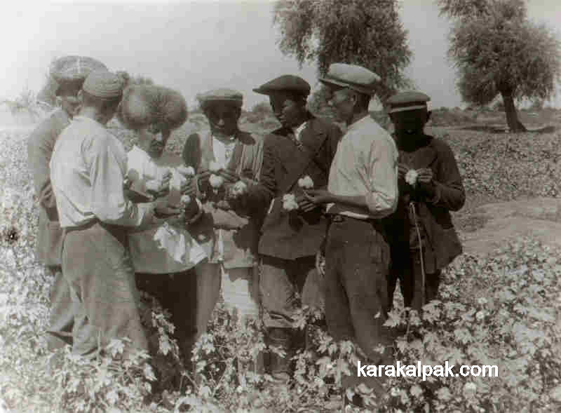 Inspecting the Karakalpak cotton crop