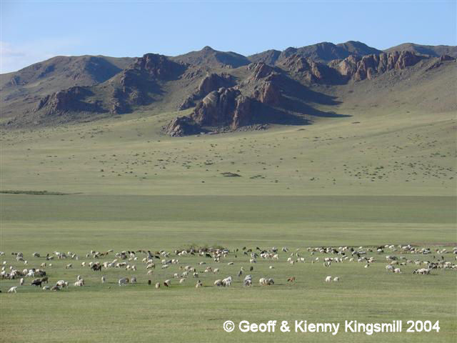 Mongolian Landscape