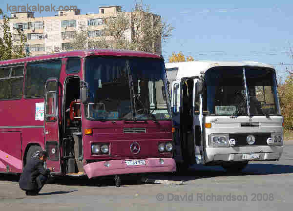 Tashkent buses